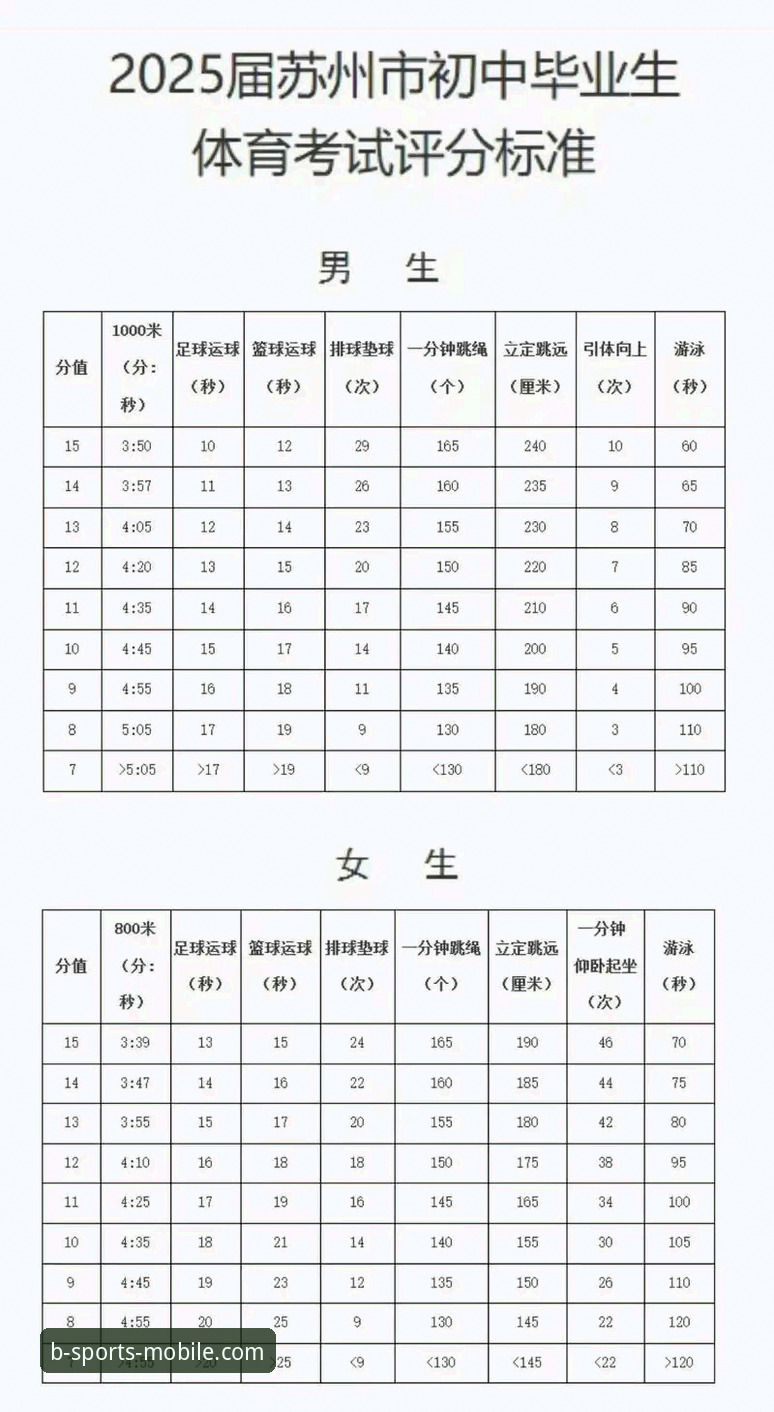 B体育官方平台全面评测：2025体育平台使用教程与创新体验深度报告